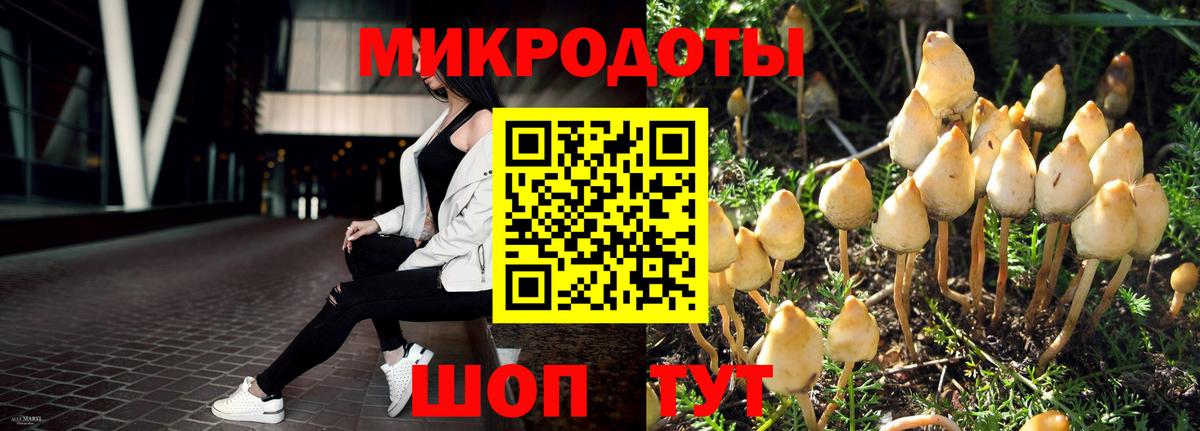 Галлюциногенные грибы Magic Shrooms Ишимбай