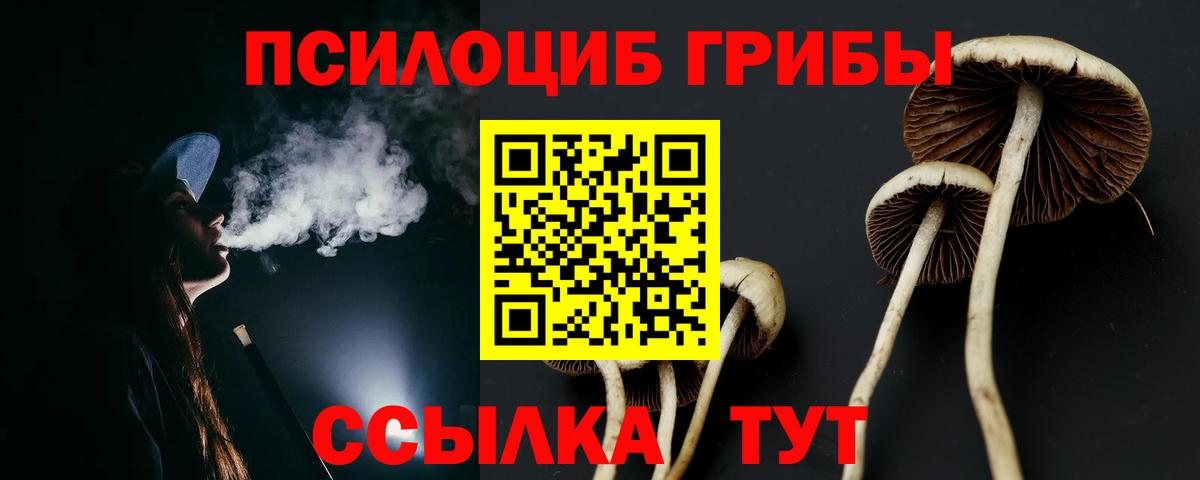 купить   Псилоцибиновые грибы прущие грибы  Вход с VPN  Ишимбай 